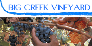Big Creek Vineyard