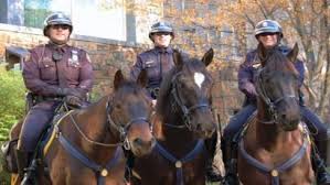 Bethlehem Police Horses
